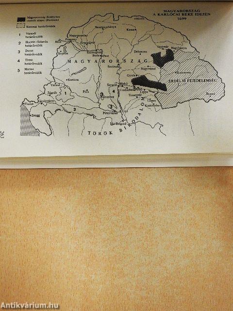 A fogyó félhold árnyékában