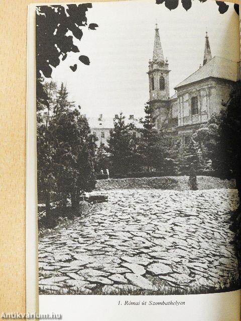 A rómaiak Magyarországon