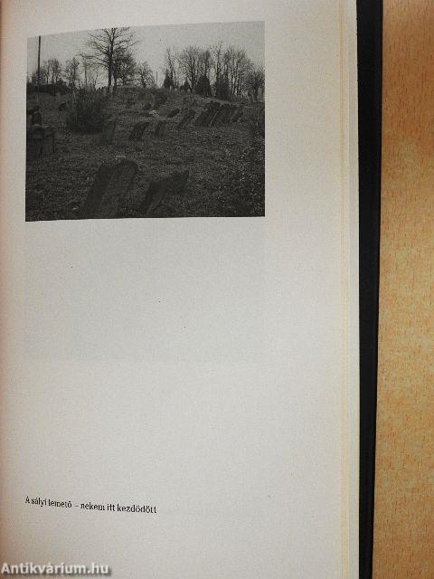 Elszakadás és visszafordulás