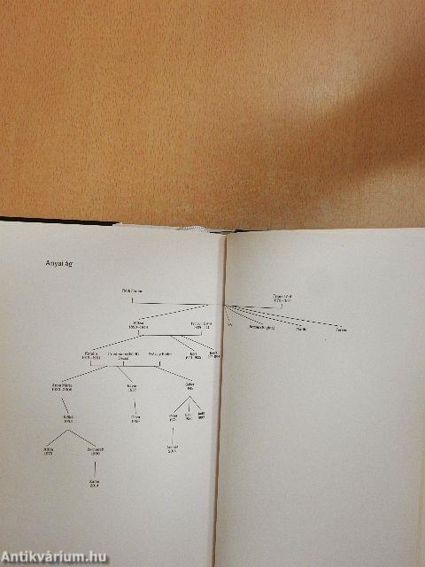 Elszakadás és visszafordulás