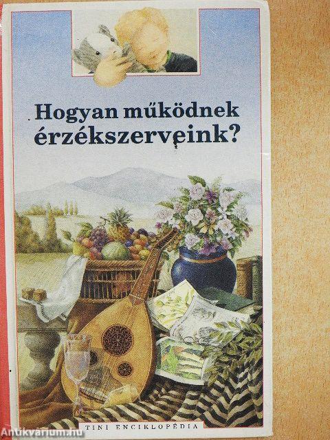 Hogyan működnek érzékszerveink?