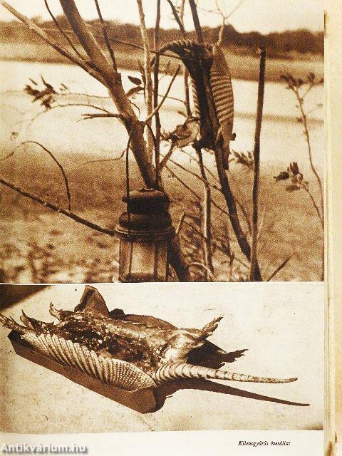 A folyón túl van Argentína