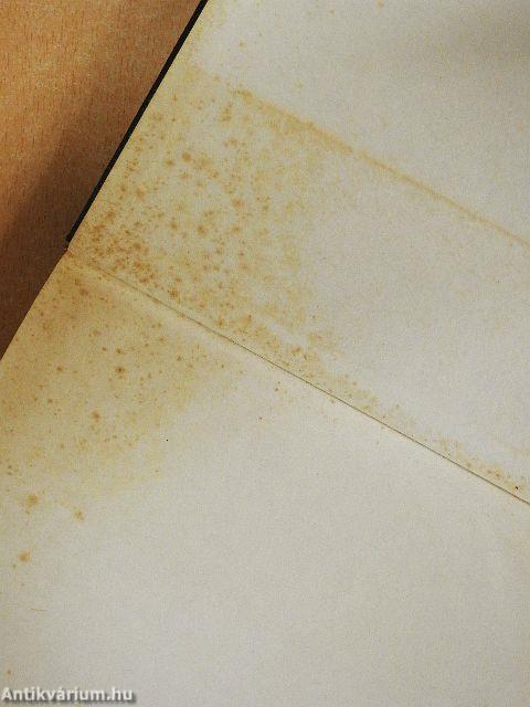 A nap szerelmese/Aranyecset