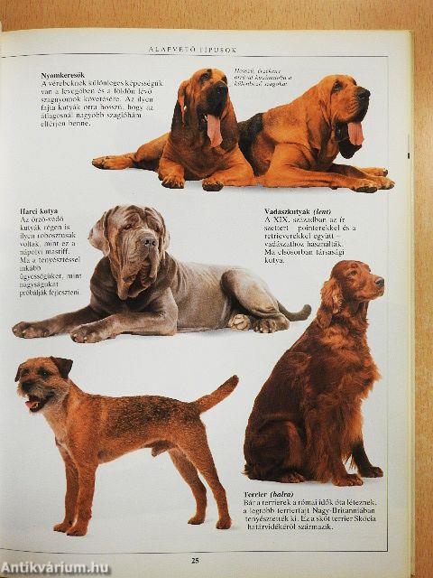 A kutyatartás nagy kézikönyve
