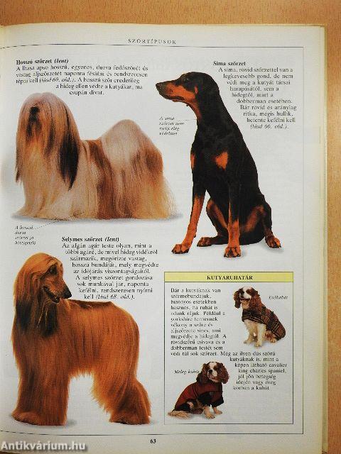 A kutyatartás nagy kézikönyve