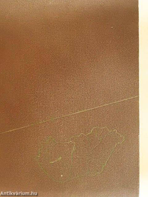 Magyarország gazdasági földrajza