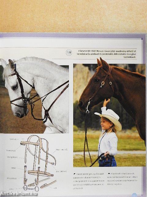 Hogyan legyünk jobb lovasok?