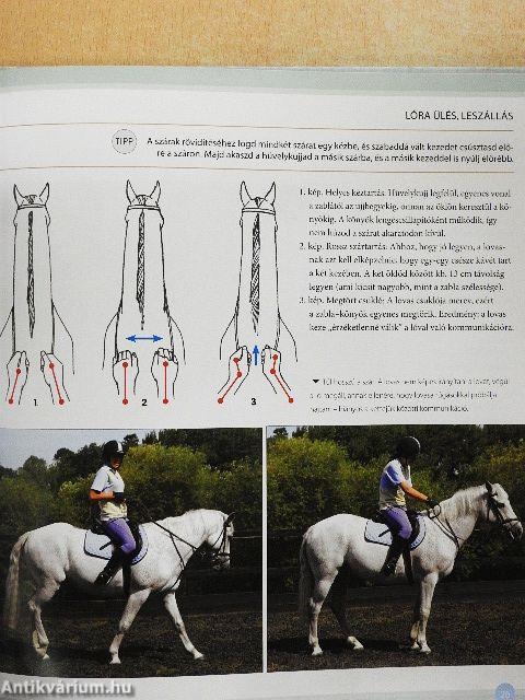 Hogyan legyünk jobb lovasok?