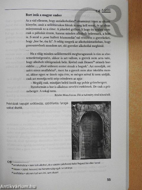 Zöld föld felett, kék ég alatt...