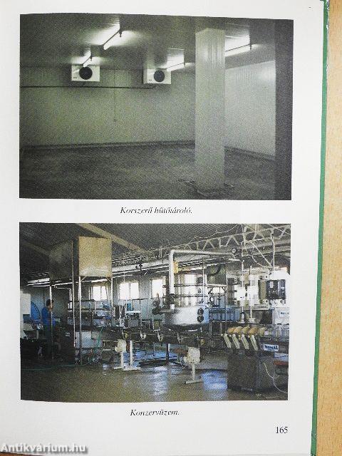 Hogyan termesszünk csiperkegombát?