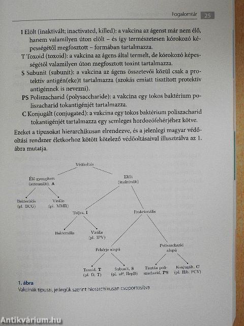 Védőoltásokról a tények alapján