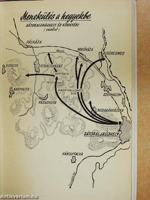 Mire az erdők kizöldülnek