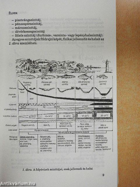 Horgászoknak halainkról