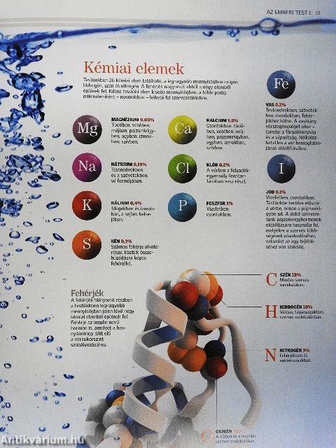 Természettudományi Enciklopédia 12.