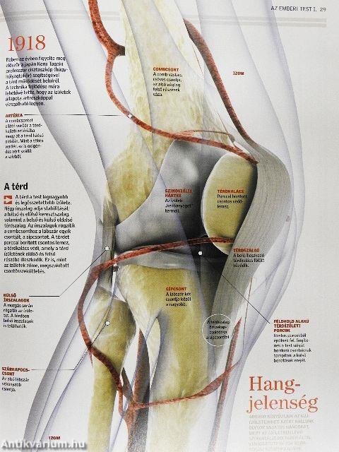 Természettudományi Enciklopédia 12.