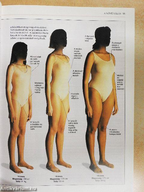 Hogyan működik a szex