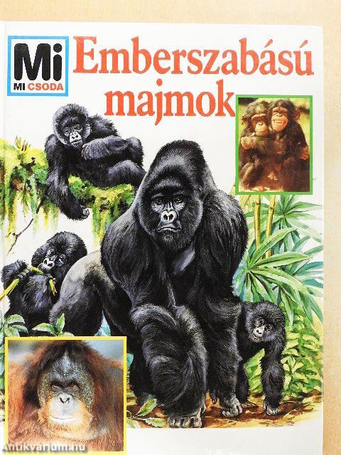 Emberszabású majmok