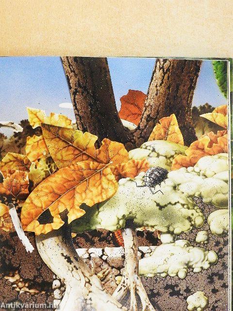 A talaj élővilága