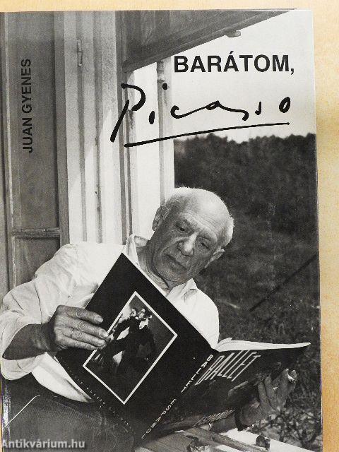 Barátom, Picasso