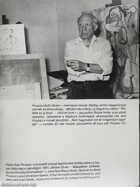 Barátom, Picasso
