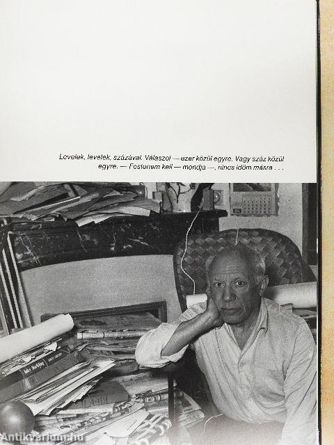 Barátom, Picasso