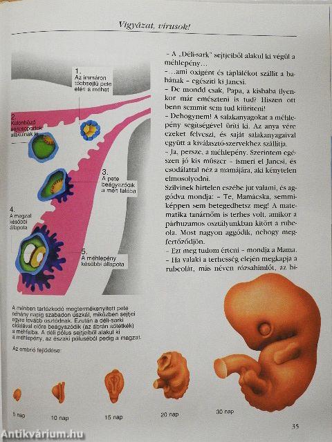 A férfi és a nő 2.