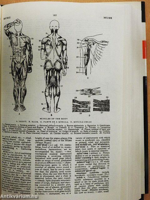 The English Illustrated Dictionary