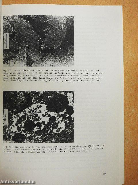 Mechanical replacement processes in mobile soft calcic horizons; their role in soil and landscape genesis in an area near Mérida, Spain