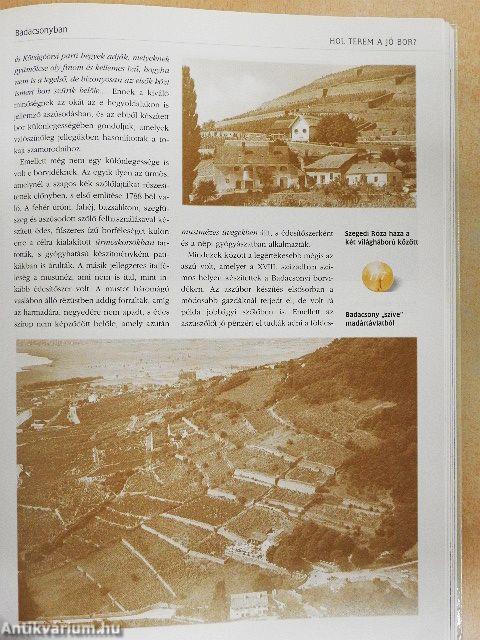 Magyar borok könyve