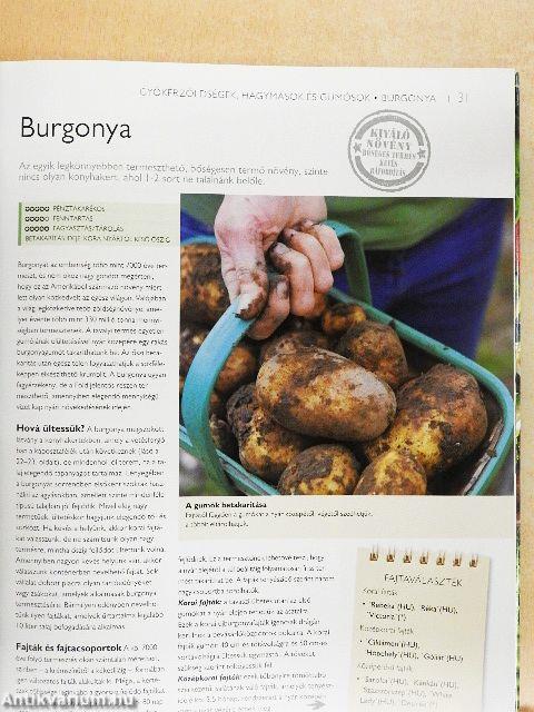 Minden, ami a kertben terem