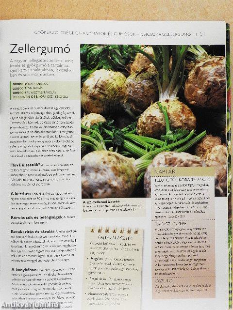 Minden, ami a kertben terem