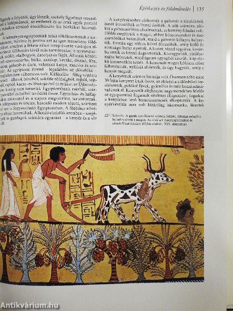 Az egyiptomi birodalmak