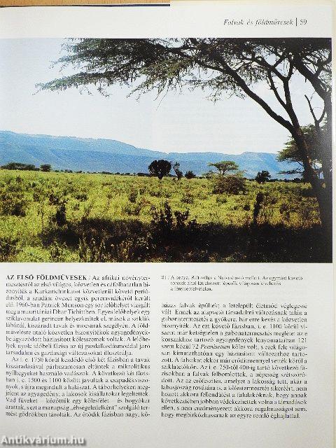 Afrikai királyságok