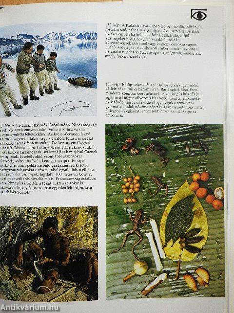 Az ember őstörténete