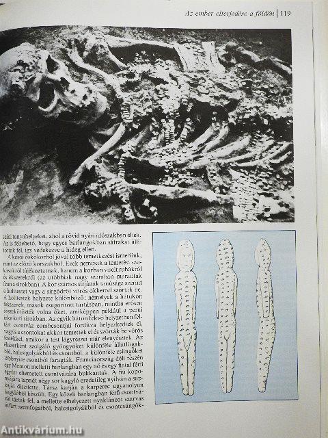 Az ember őstörténete