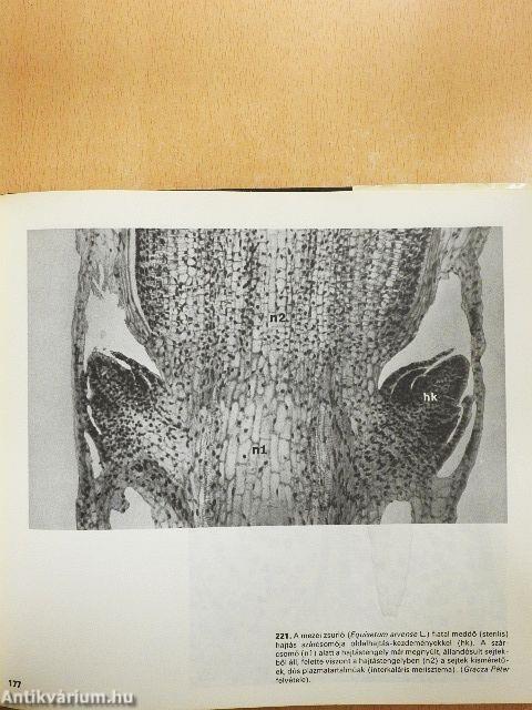 Mikroszkópos növényanatómia