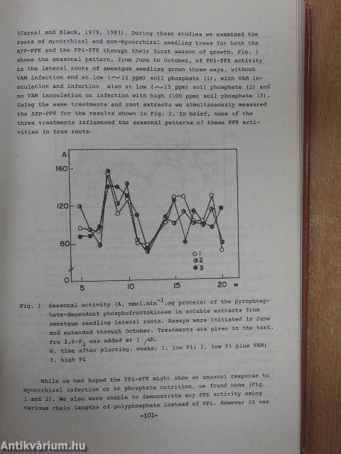 Interrelationships between microorganisms and plants in soil