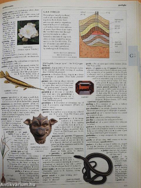 Képes angol szótár