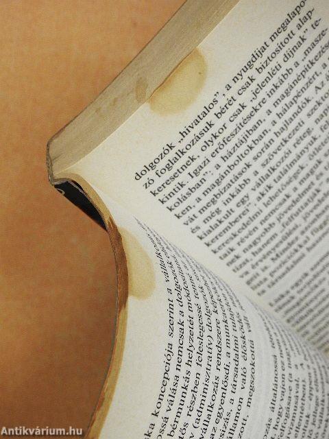 Koncepció és kritika