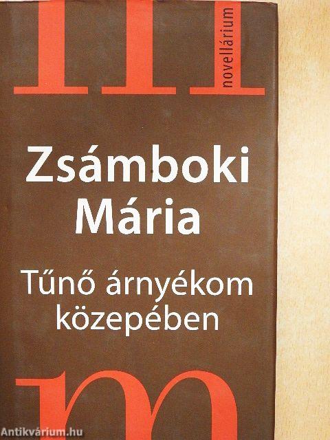 Tűnő árnyékom közepében