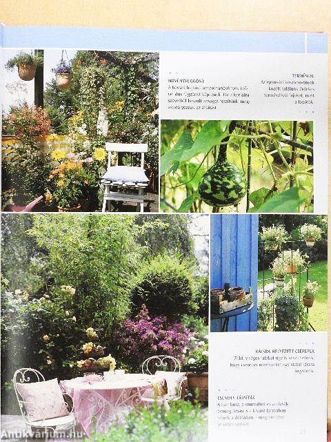 Balkon- és dézsás növények