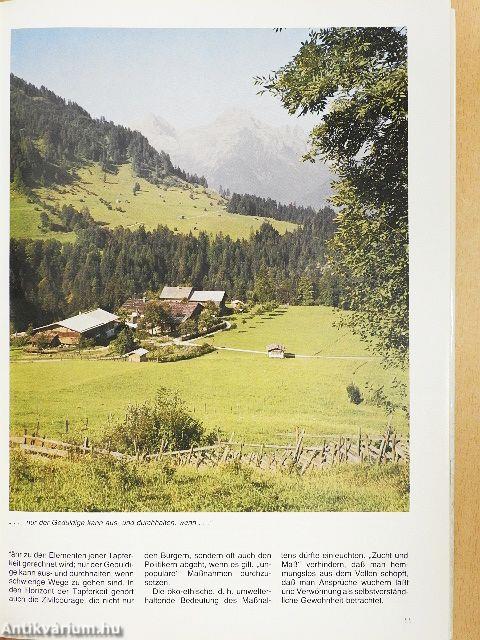 Die Sache mit dem Wald - Lemezzel