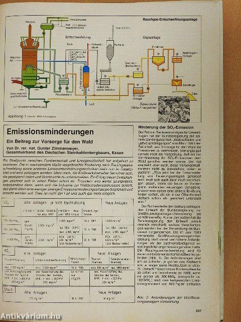 Die Sache mit dem Wald - Lemezzel