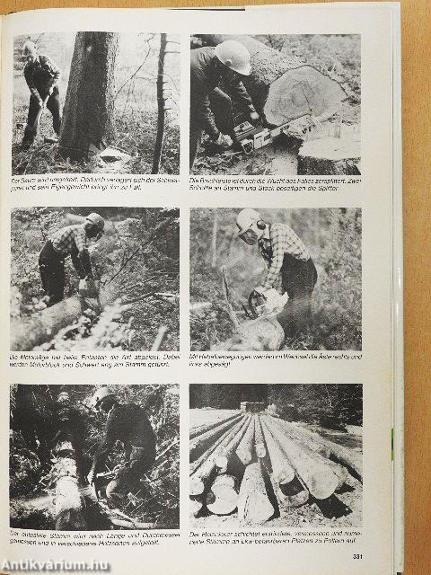 Die Sache mit dem Wald - Lemezzel