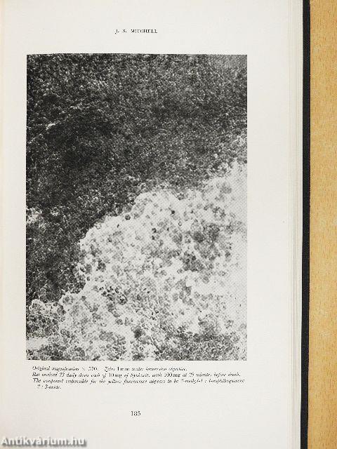 Radiobiology Symposium 1954