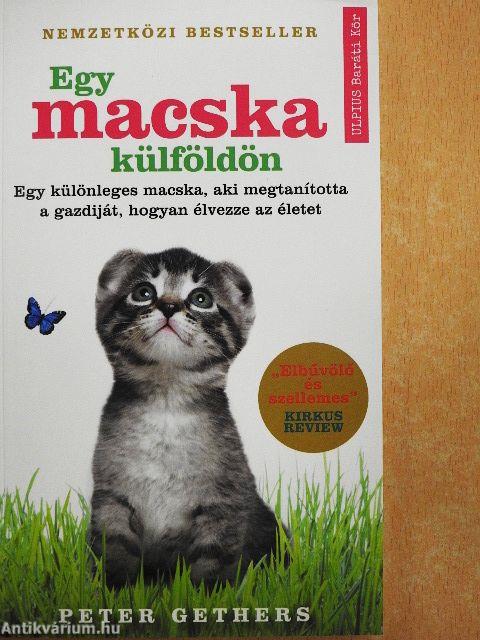 Egy macska külföldön