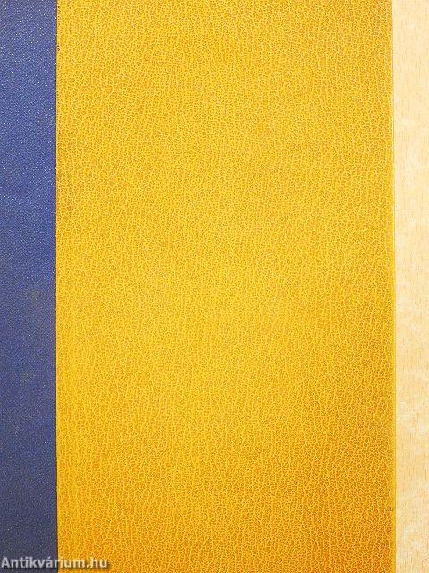 A magyar nemzet története regényes rajzokban I-II.