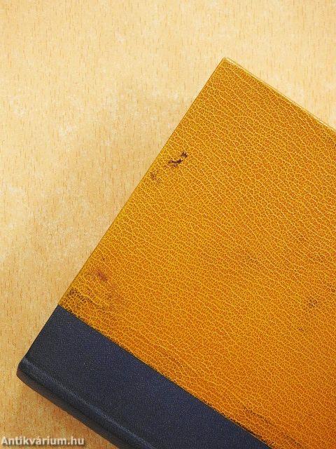 A magyar nemzet története regényes rajzokban I-II.