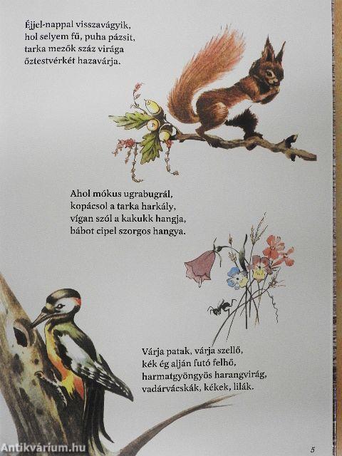 Öreg néne őzikéje