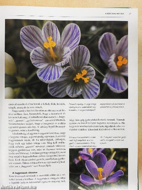 Kertészkedés egész évben